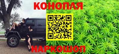 дмт Гатчина