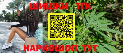дмт Гатчина