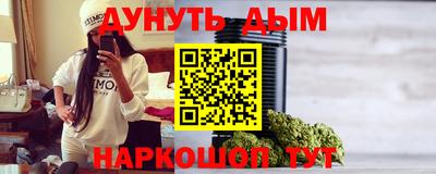 дмт Гатчина