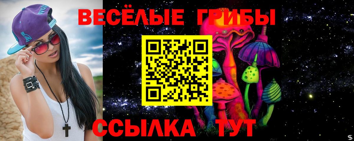Псилоцибиновые грибы GOLDEN TEACHER Дальнереченск