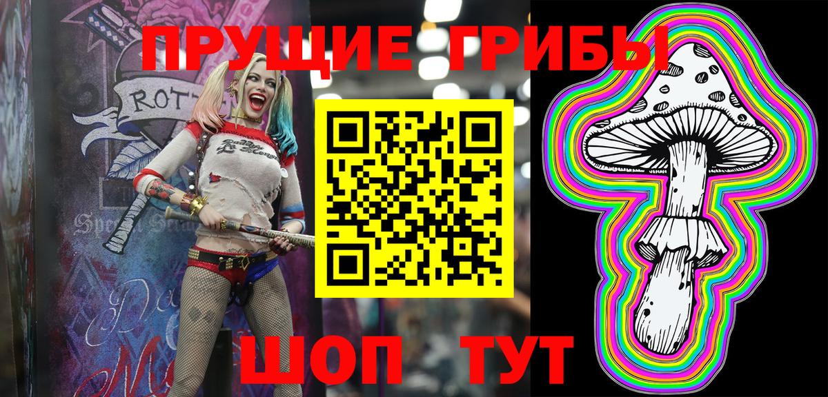 Псилоцибиновые грибы Cubensis  Галлюциногенные грибы мицелий  Вход с VPN  Дальнереченск 